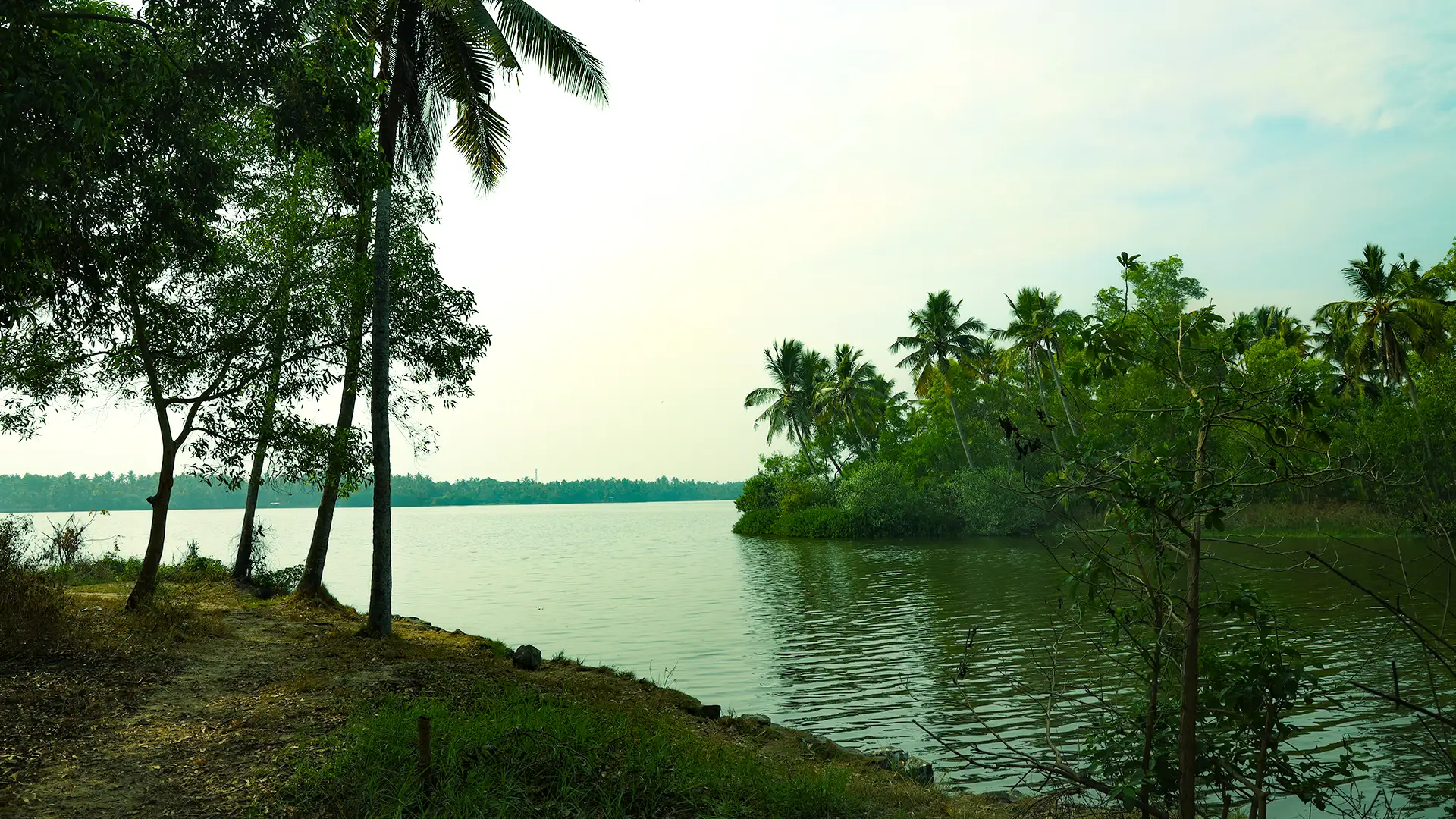 Kadinamkulam Backwaters Thiruvananthapuram