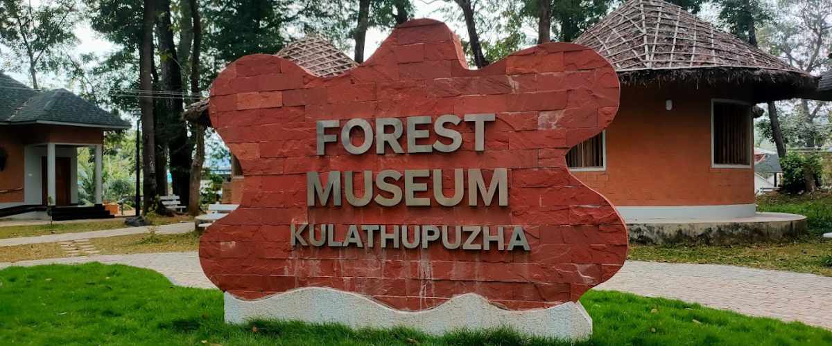 Kulathupuzha Forest Museum Thiruvananthapuram